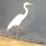 Maureen Vail-Gannon - @movailgannon - Instagram