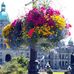 Maureen Wakefield - Facebook