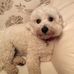 Maureen Wakefield - Facebook
