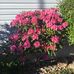 Maureen Webster - Facebook