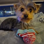 Maureen Webster - @rmwebster2011 - Instagram