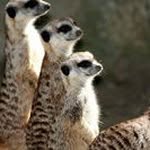 Maureen Webster - @maureen.webster.9 - Instagram