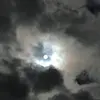 Maureen Webster - @maureen.webster2 - TikTok