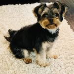 Maureen Weeks - @maureene2022 - Instagram