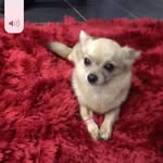 Maureen Welch - @maureenwelch2012 - Instagram