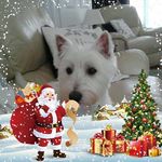 Maureen Whitehead - @maureenwhitehead24 - Instagram