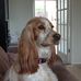 Maureen Whitehead - Facebook