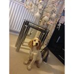 Maureen whitehead - @m.whitehead7 - Instagram