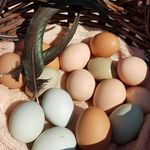 maureen whitman - @moeshandcraftedcreations - Instagram