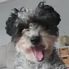 Maureen Gilbert - @maureen.gilbert6 - TikTok