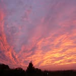 Maureen Wilbur - @snapsbysue51 - Instagram