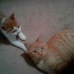 Maureen Womack Kimmett - @maureenkimmett - Instagram