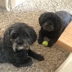 Maureen Wright - @wrigh2411 - Instagram