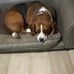 Maureen Wrightsman - Facebook