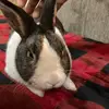 mauricelogan683 - @mauricelogan683 - TikTok