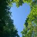 Maurice Baum - Facebook
