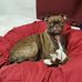 Morris Biddle - Facebook