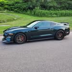 maurice.bouchard.ca@gmail.com - @maurice.bouchard2 - Instagram