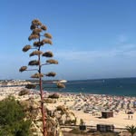 Maurice Brunner - @brunner.maurice - Instagram