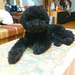 Maurice  Chen - @tsuan550309 - Instagram