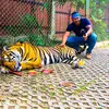 MAURICE COLLIER - @maurice.collier - TikTok