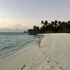 Maurice - @maurice.struck - TikTok