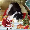Maurice Daniel - @maurice.daniel - TikTok