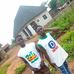Maurice David - Facebook