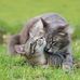 Maurice Davy - Facebook