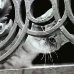 Maurice Decker - @mauricedecker - Instagram