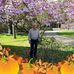 Maurice Dewitte - Facebook