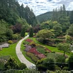 Maurie DeWitt - @mauriedewitt - Instagram