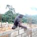 Marus Teby - Facebook