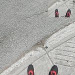 Maurice Dubé - @mauricedube29 - Instagram