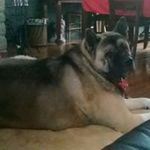 Maurice Dube - @maudub666 - Instagram