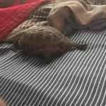 Maurice - @mauriceeason2018 - Instagram
