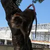 eumirmauriceedu - @eumirmauriceedu - TikTok