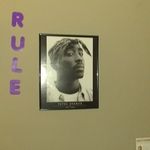 Maurice McField - @mauri.ceelder - Instagram