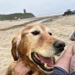 Maurice Enright - @huskysera - Instagram