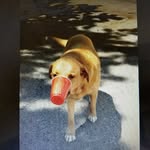 Maurice Erickson - @welike2hike2 - Instagram