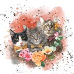 Tibbers, Maurice & Flint - @mainecoons.tibbers.maurice - Instagram
