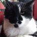 Maurice Germain - Facebook