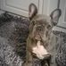 Maurice Grayer - Facebook