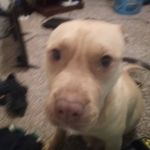 Maurice Harrell jr - @mauriceharrelljr - Instagram