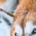 Maurice Hendricks - Facebook