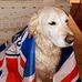 Maurice Heron - Facebook