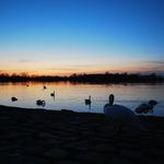 Maurice Krämer - @maurice_photograph - Instagram