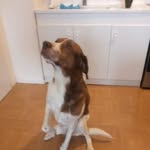 Maurice Labbe - @maurice.labbe - Instagram