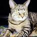 Maurice Leduc - Facebook
