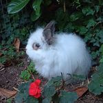 🐰Monsieur Maurice Lemonnier aka MR. LEMON🐇 - @monsieur.lemonnier - Instagram